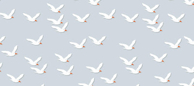 Behind The Print: Fly Like A Seagull