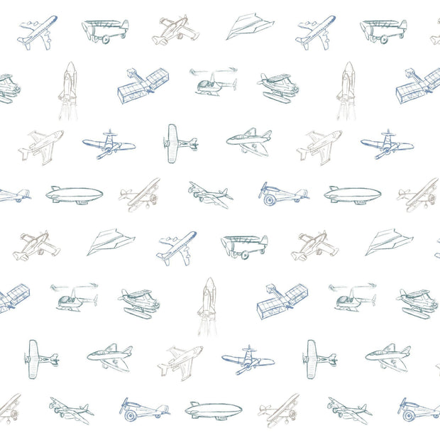 Airplanes Organic Cotton Hat