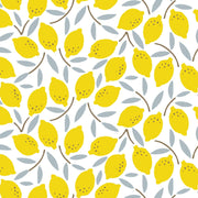 easy peasy lemon squeezy organic cotton magnetic fuss free coverall-Magnetic Me