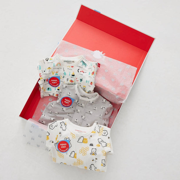 Gift Wrap-Magnetic Me