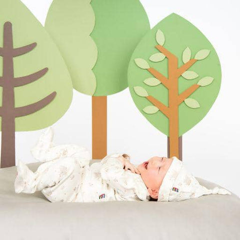 little peanut organic cotton magnetic take-me-home kimono set
